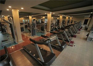 健身熱潮席卷全國 訓練健身器材市場前景廣闊