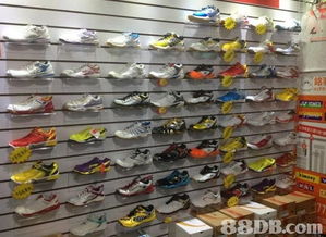 2020最新201個運動用品價格及商戶聯(lián)絡(luò)資訊