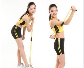 易威斯堡塑胸拉力器 價(jià)格、廠家與選購(gòu)指南